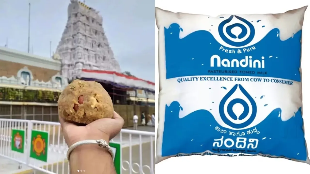 Nandini