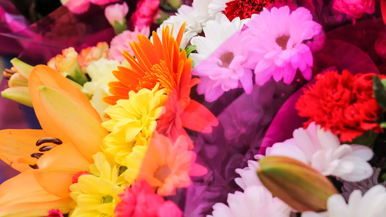 bathukamma5