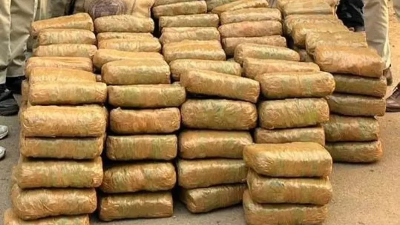 ganja seized 