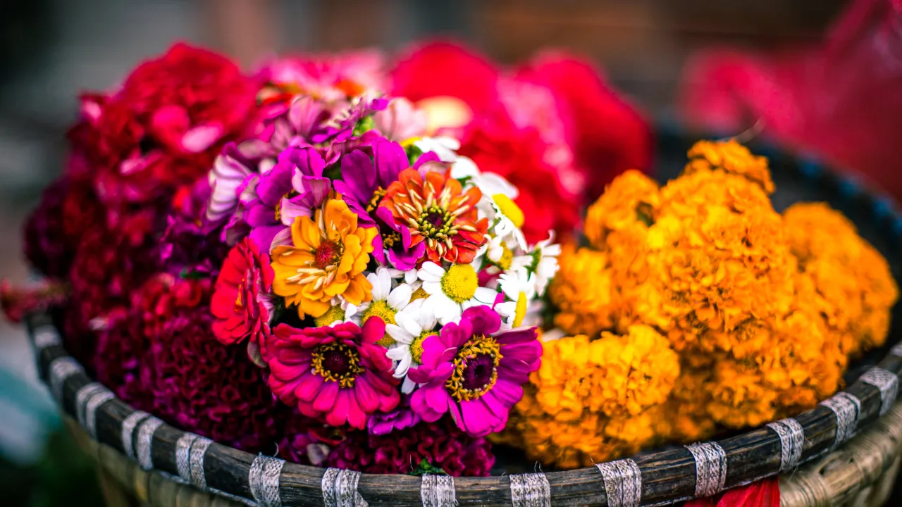 bathukamma 1