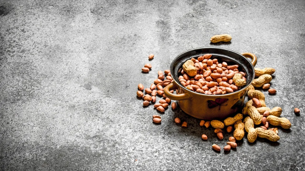 groundnut11