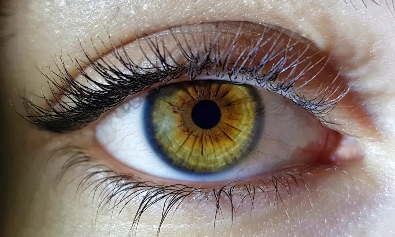 eye