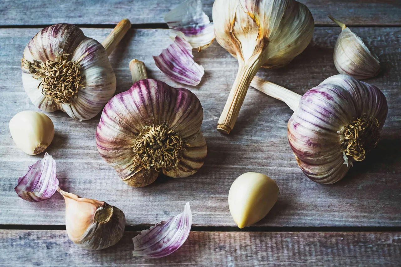 garlic and teeth1