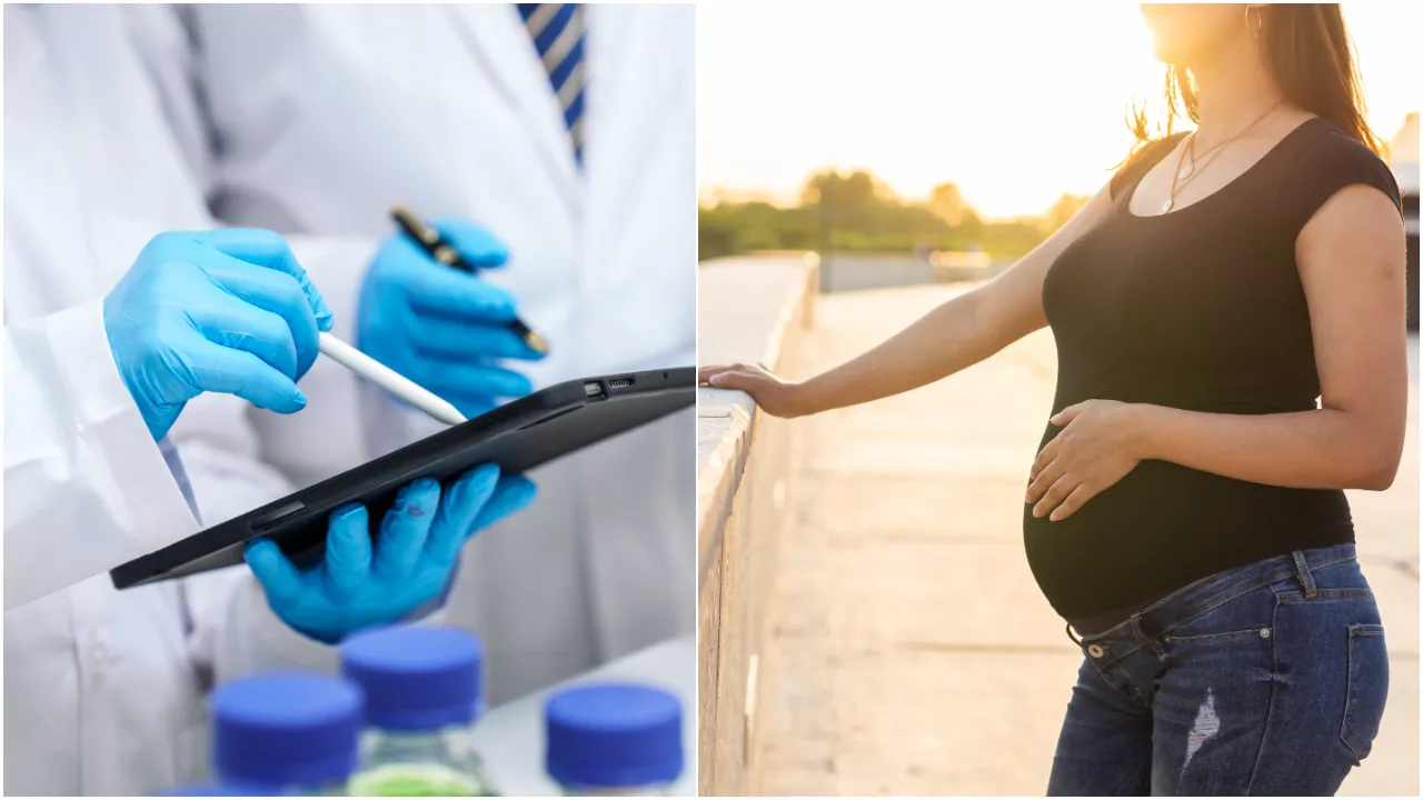 pregnency