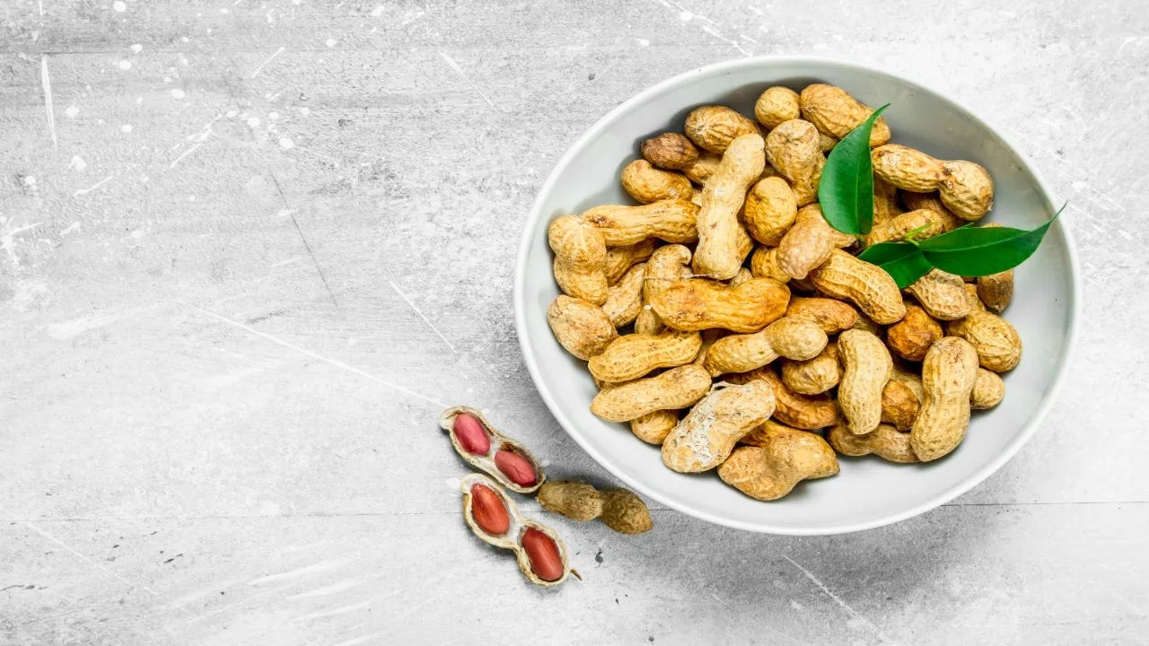 groundnut21