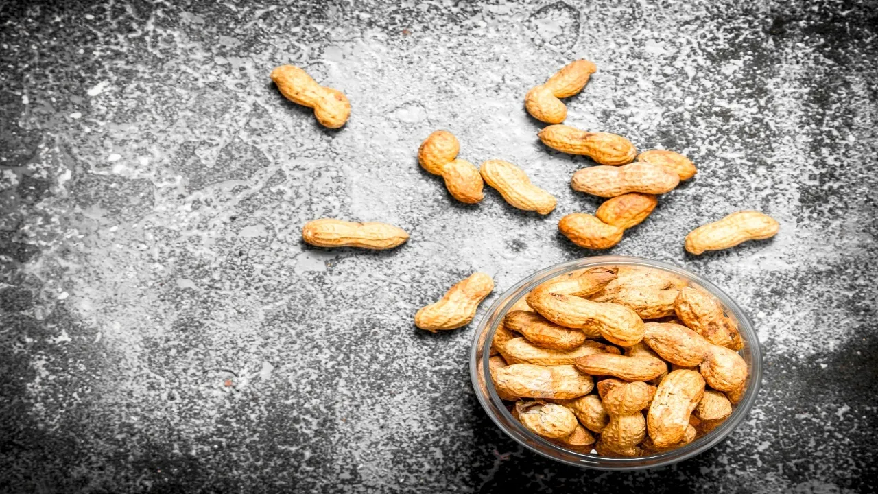 groundnut61