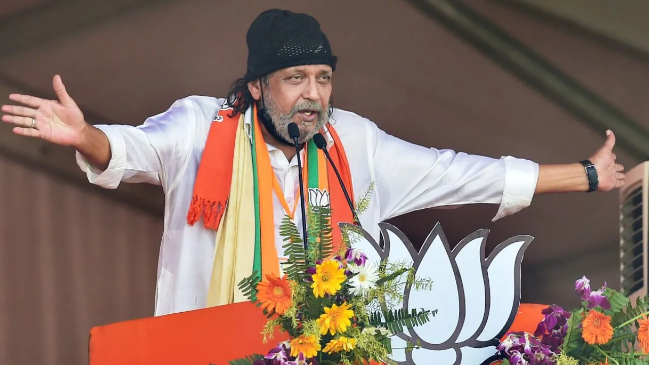 mithun 33