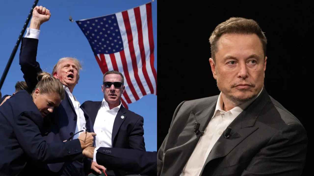 trump and musk