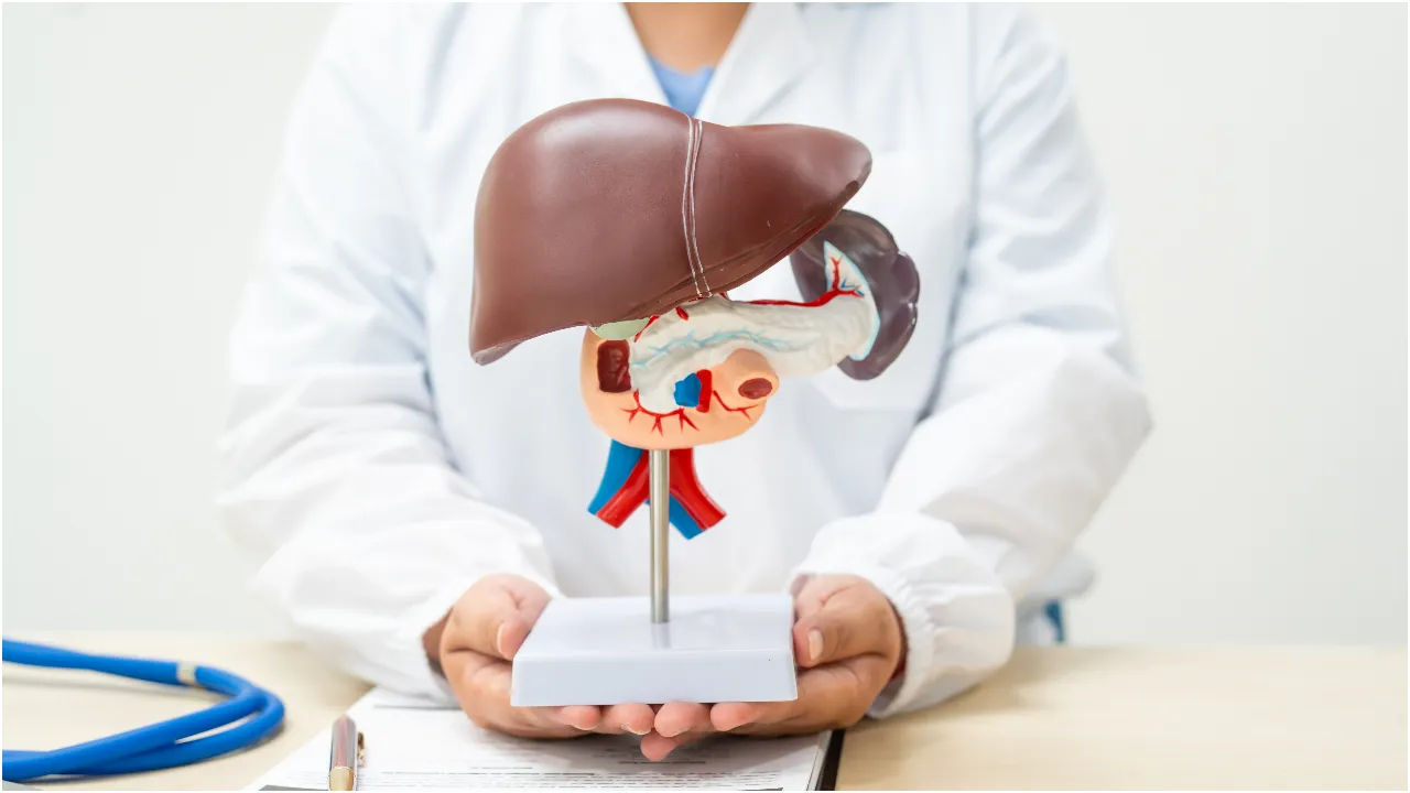 Fatty Liver5