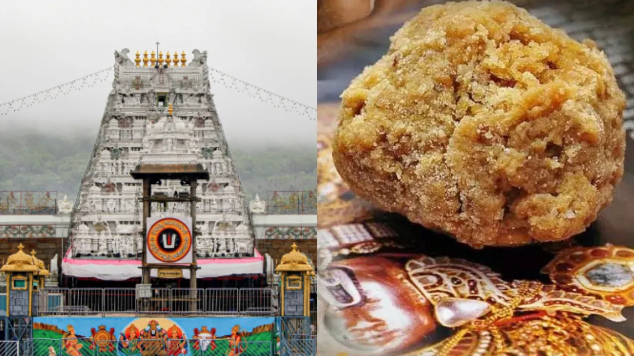 Tirupati Laddu
