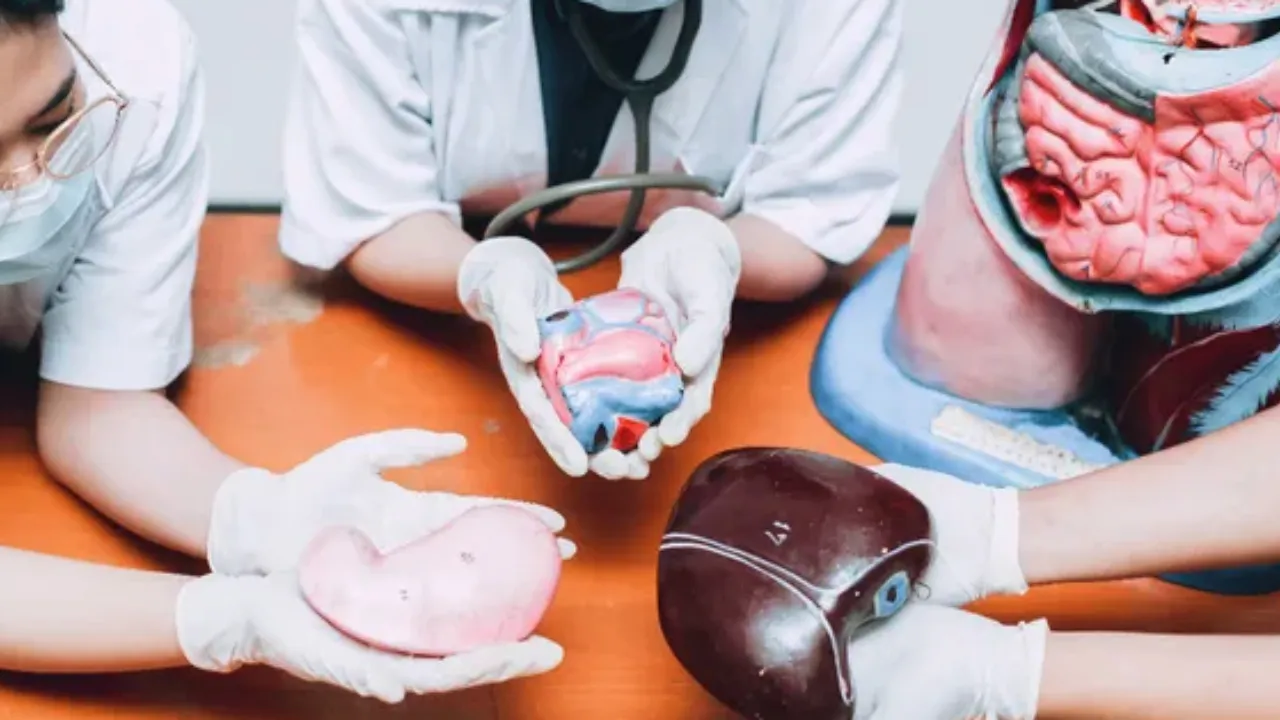 Organ Donation