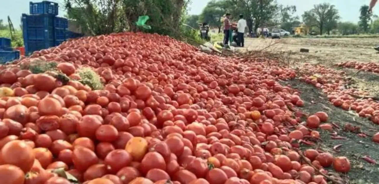 టీడీపీ నేత బుద్దా వెంకన్న ఆధ్వర్యంలో టమోటాల పంపిణీ