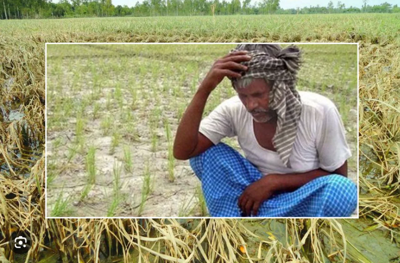రైతన్నా పంటను రక్షించుకో... వ్యవసాయ యూనివర్సిటీ సూచనలు..!