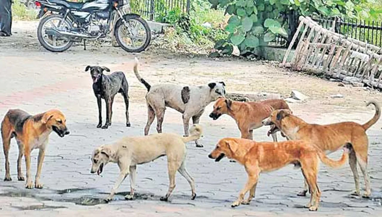 లైఫ్‌స్టైలే మారింది..90 కోట్ల ఆస్తికి వారసులైయ్యారు