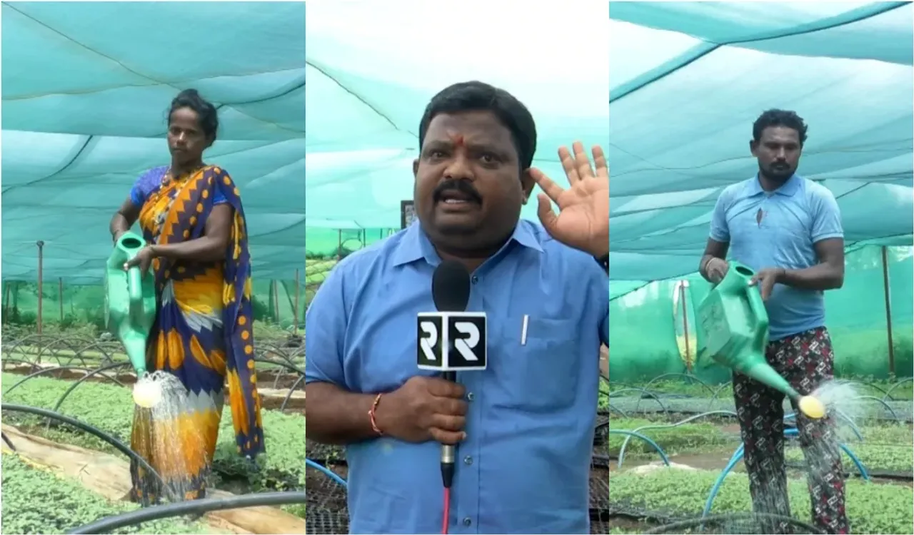 Nursery: రైతులకు వరంగా నర్సరీలు.. నారును పెంచుతూ మేలు చేస్తున్న దంపతులు