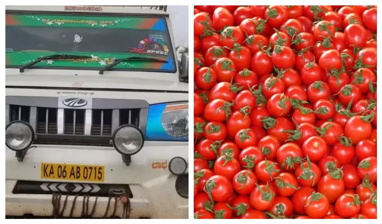 టమాటా దొంగలున్నారు జాగ్రత్త..!