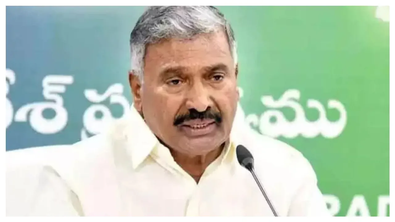 AP Minister Peddireddy Ramachandra Reddy: సీఎం జగన్ పర్యావరణంపై ప్రత్యేకమైన శ్రద్ధ పెట్టారు: మంత్రి పెద్దిరెడ్డి
