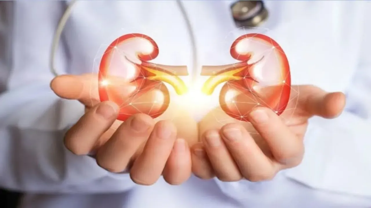 Health Tips: ఈ ఐదు పండ్లు తింటే మీ కిడ్నీలు క్లీన్.. ఆ సమస్యలన్నీ పరార్!