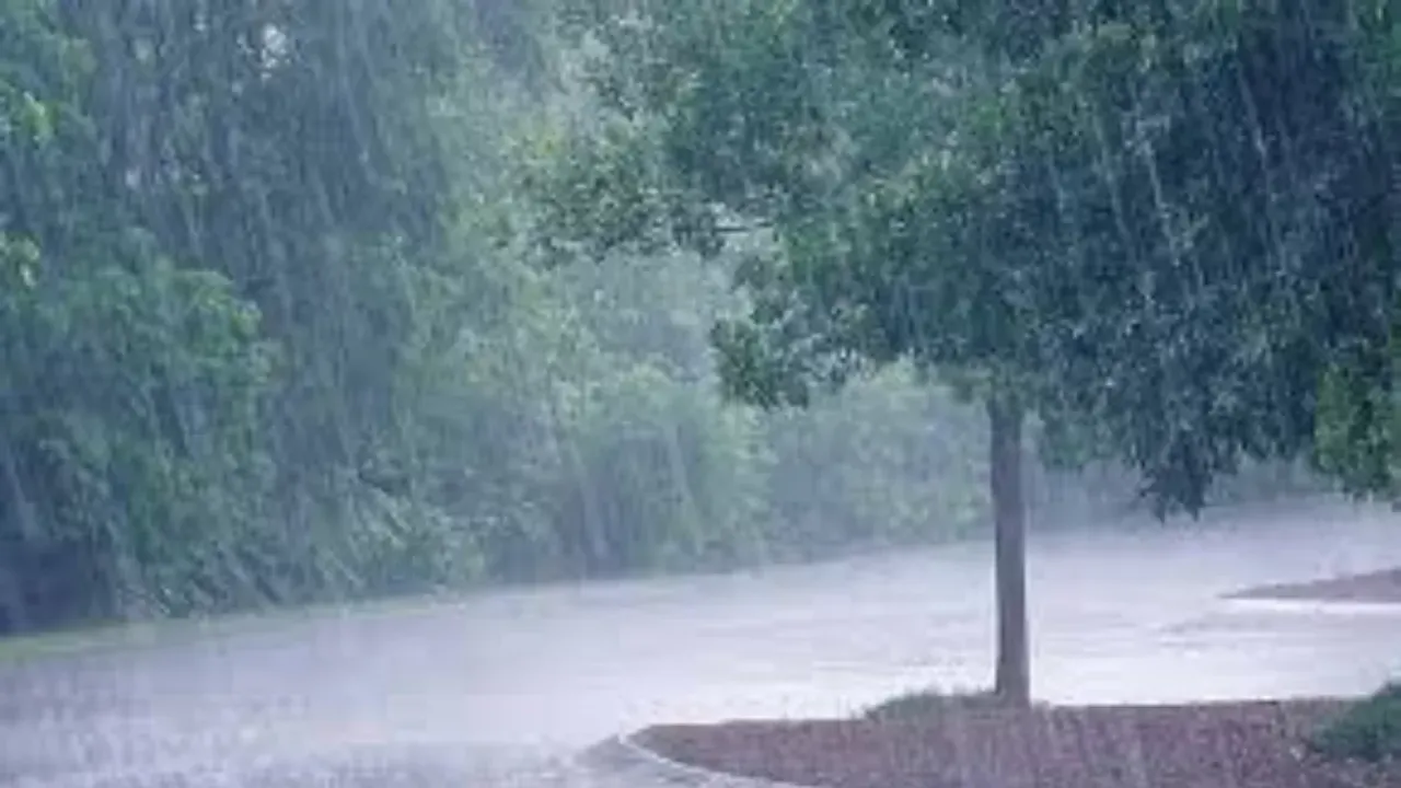 Rain: తెలుగు రాష్ట్రాల్లో మరో మూడ్రోజులు భారీ వర్షాలు.. సూచన తెలిపిన వాతావరణ శాఖ