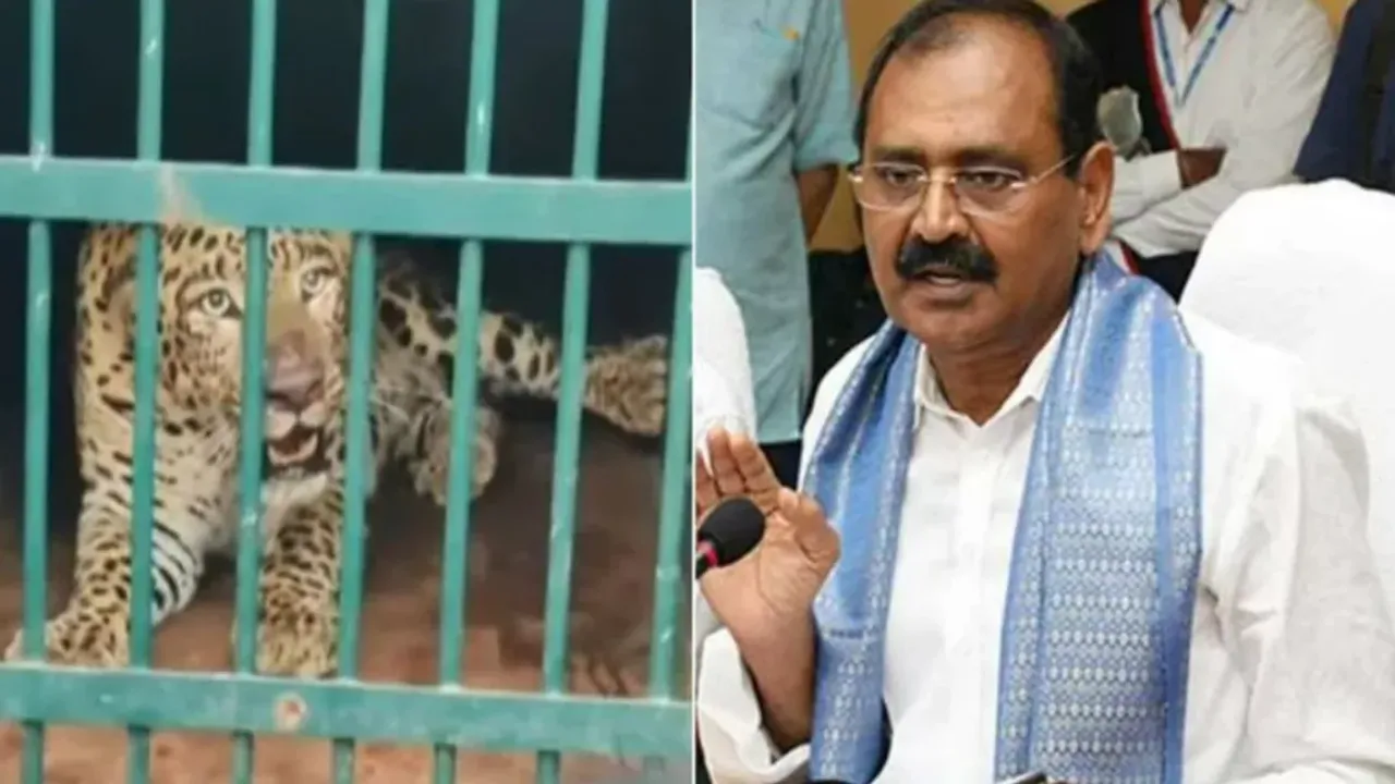 ఆపరేషన్‌ చిరుత నిర్వహిస్తున్నాం: టీటీడీ ఛైర్మన్‌ భూమన!