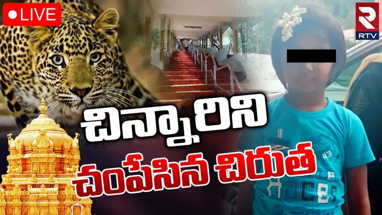 Tirumula: చిన్నారిని చంపేసిన చిరుత.. తిరుమల నడక మార్గంలో తీవ్ర విషాదం!