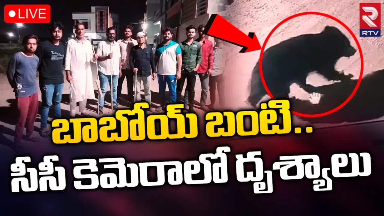Bear in Karimnagar : జనాన్ని పరుగులు పెట్టిస్తున్న ఎలుగుబంటి..వీడియో వైరల్ !
