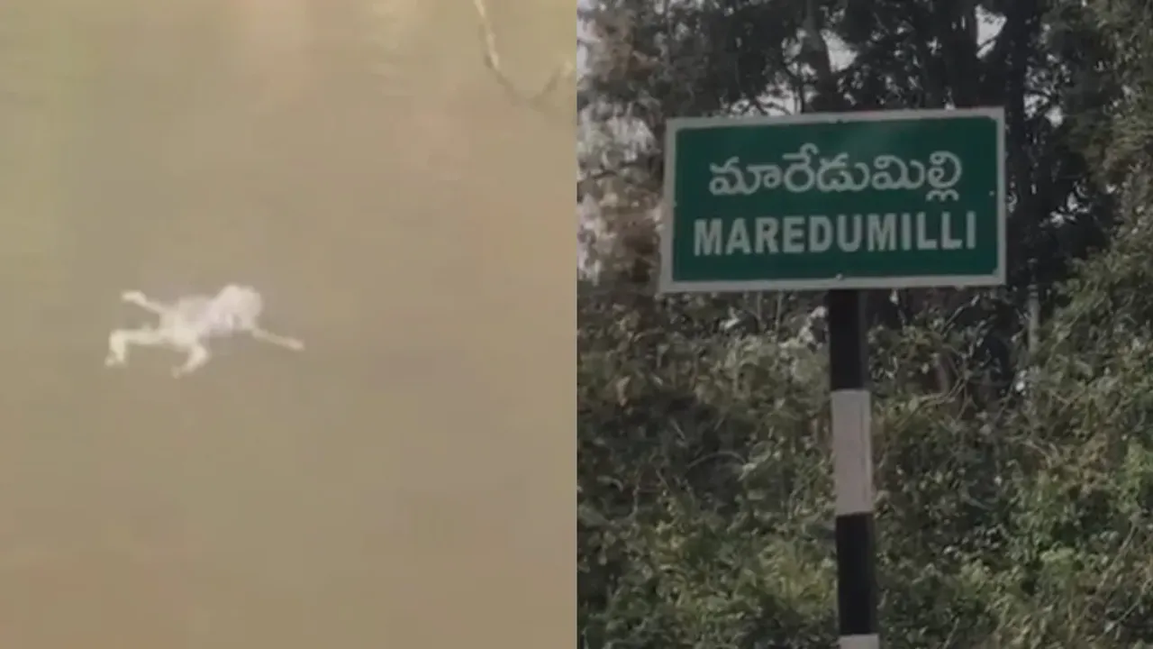 Alluri: మన్యంలో మంటకలిసిన మానవత్వం.. కొండ కాలువలో మగశిశువు కలకలం
