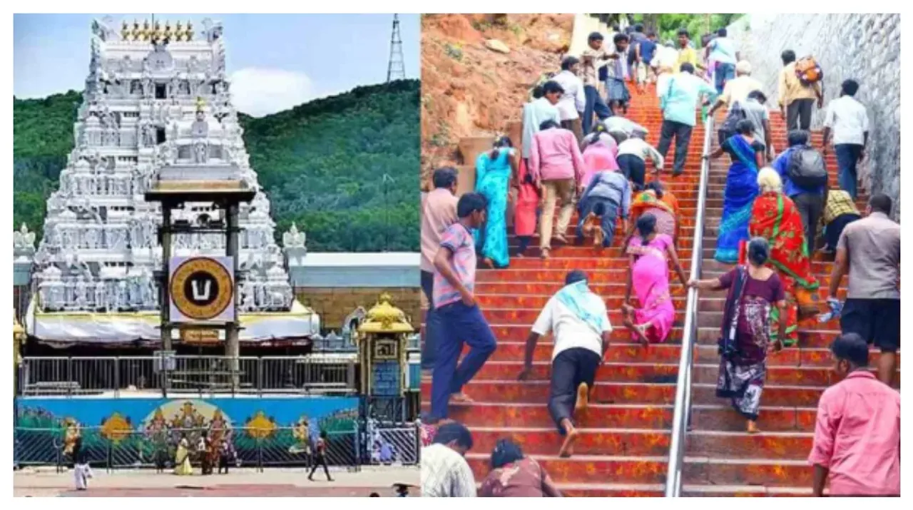 TTD: టీటీడీ కీలక నిర్ణయం.. ఇక భక్తులకు భయం లేదు