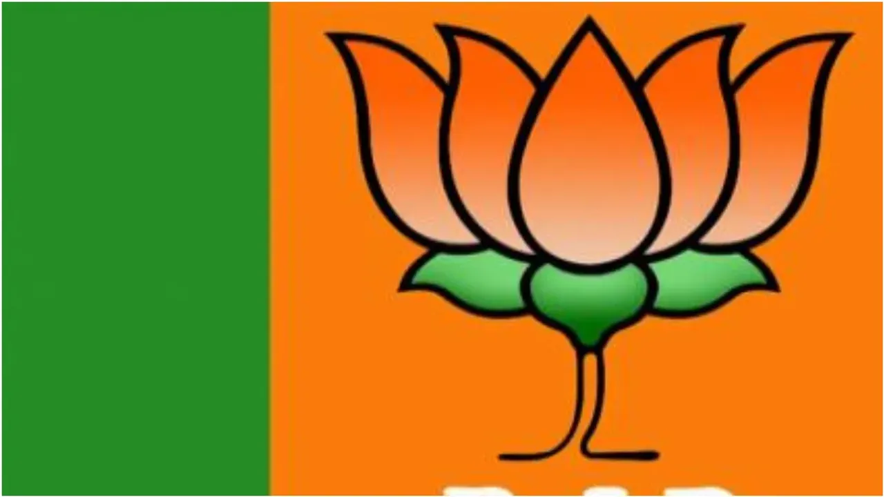 AP BJP: పొత్తులపై తుది నిర్ణయం జాతీయ నాయకత్వానిదే.!