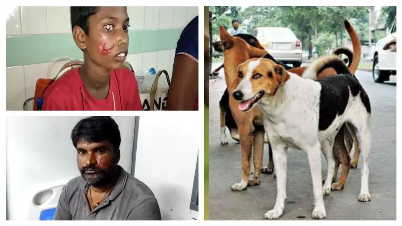 Alluri Sitaramaraju : రంపచోడవరంలో పిచ్చి కుక్క స్వైర విహారం..16 మందిపై దాడి