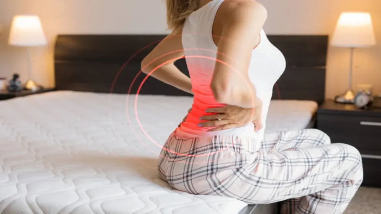 Back Pain Tips: నడుము నొప్పి పోవాలంటే.. వెంటనే వీటిని తినండి!