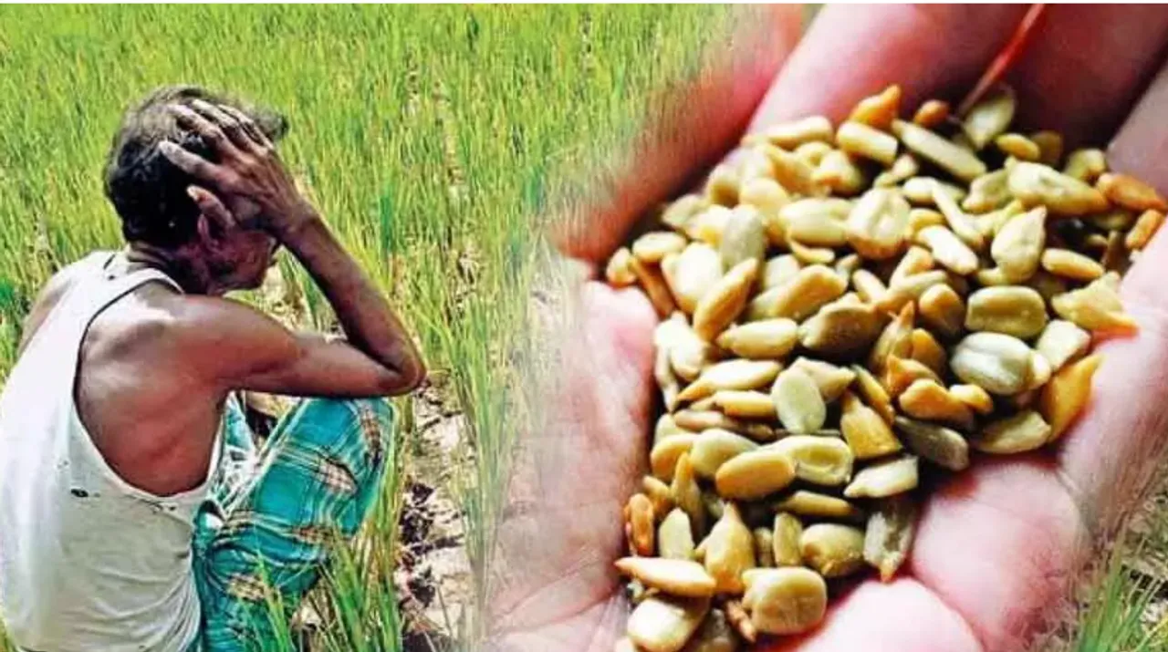 Fake Seeds Effects On Farmers: నకిలీ విత్తనాలతో నిండా మునిగిపోయాం.. అన్నదాతలు లబోదిబో