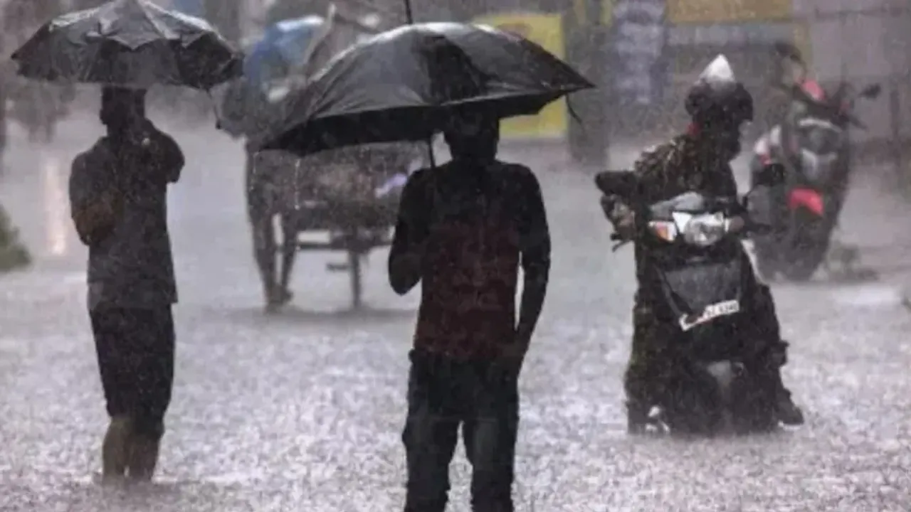 Rains