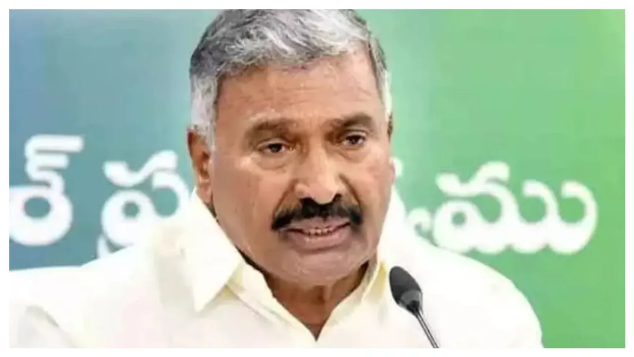 Peddi Reddy: వైఎస్సార్ ఆసరా చెక్కులు పంపిణీ చేసిన మంత్రి పెద్దిరెడ్డి