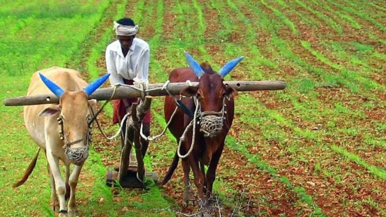 Fertilisers Subsidy: రైతులకు మోదీ సర్కార్ అదిరిపోయే శుభవార్త.. ఎరువులపై సబ్సిడీ..