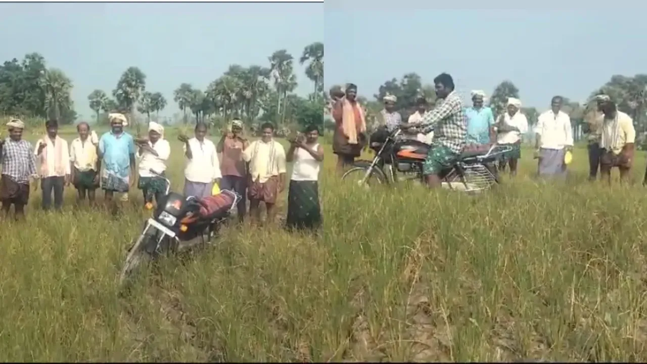 Farmers: పచ్చని పొలాల మధ్య బైక్ సంచారం.. అసలేం జరిగిందంటే?