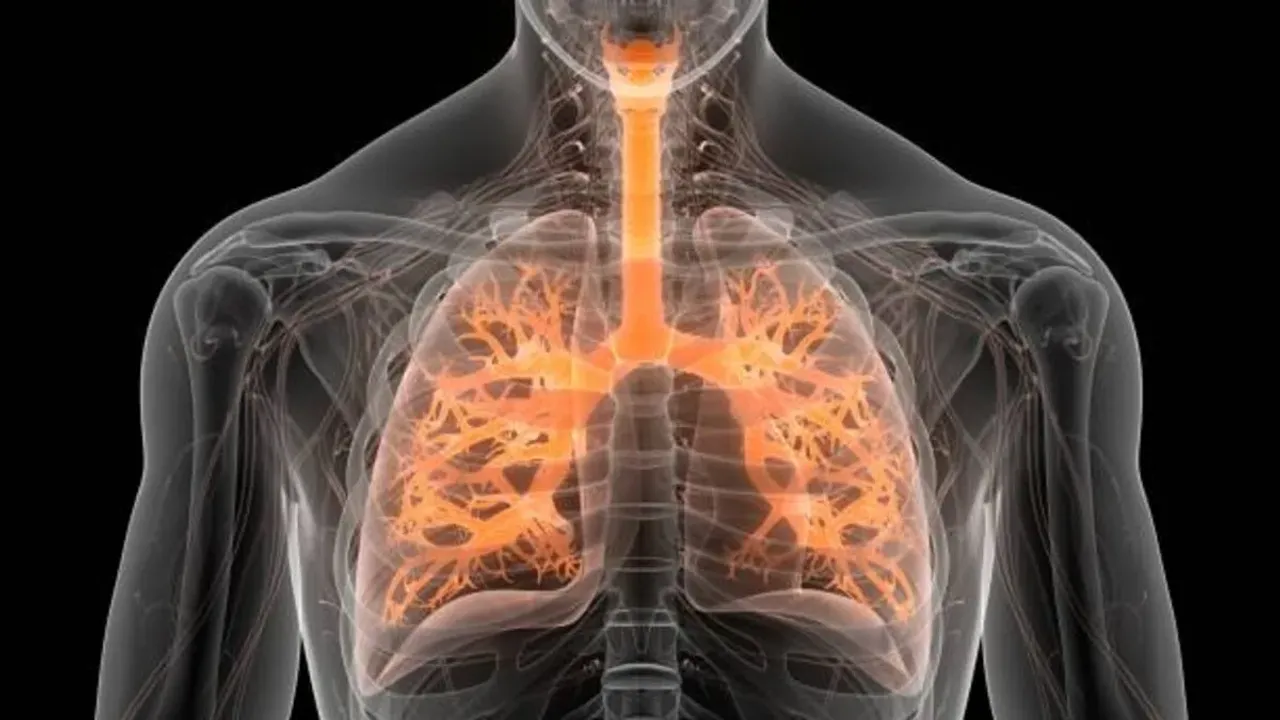 Health Tips: ఈ ఫుడ్స్ తింటే.. మీ ఊపిరితిత్తులు సేఫ్..!!