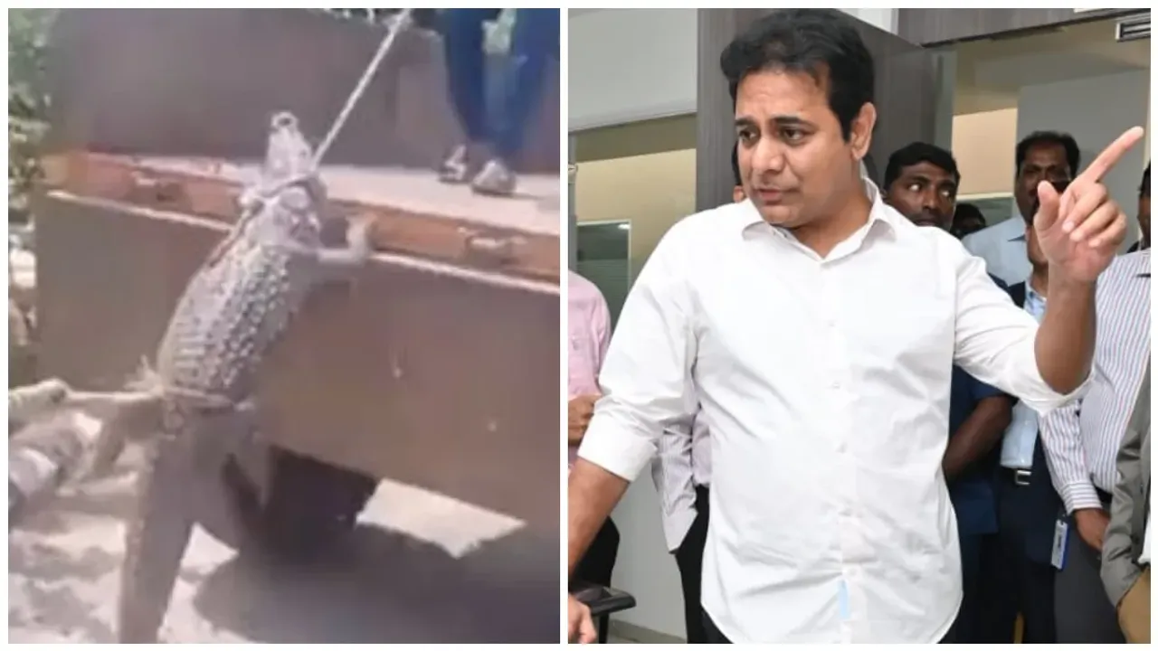 KTR: కర్ణాటక వీడియోతో కాంగ్రెస్ పై కేటీఆర్ పంచ్ లు.. ముందుంది మొసళ్ల పండుగ అంటే ఇదేనేమో అంటూ..!