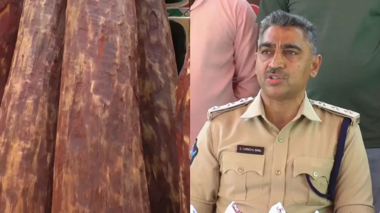 AP Smugglers: తిరుపతిలో రెచ్చిపోయిన స్మగ్లర్లు.. భారీగా ఎర్రచందనం స్వాధీనం