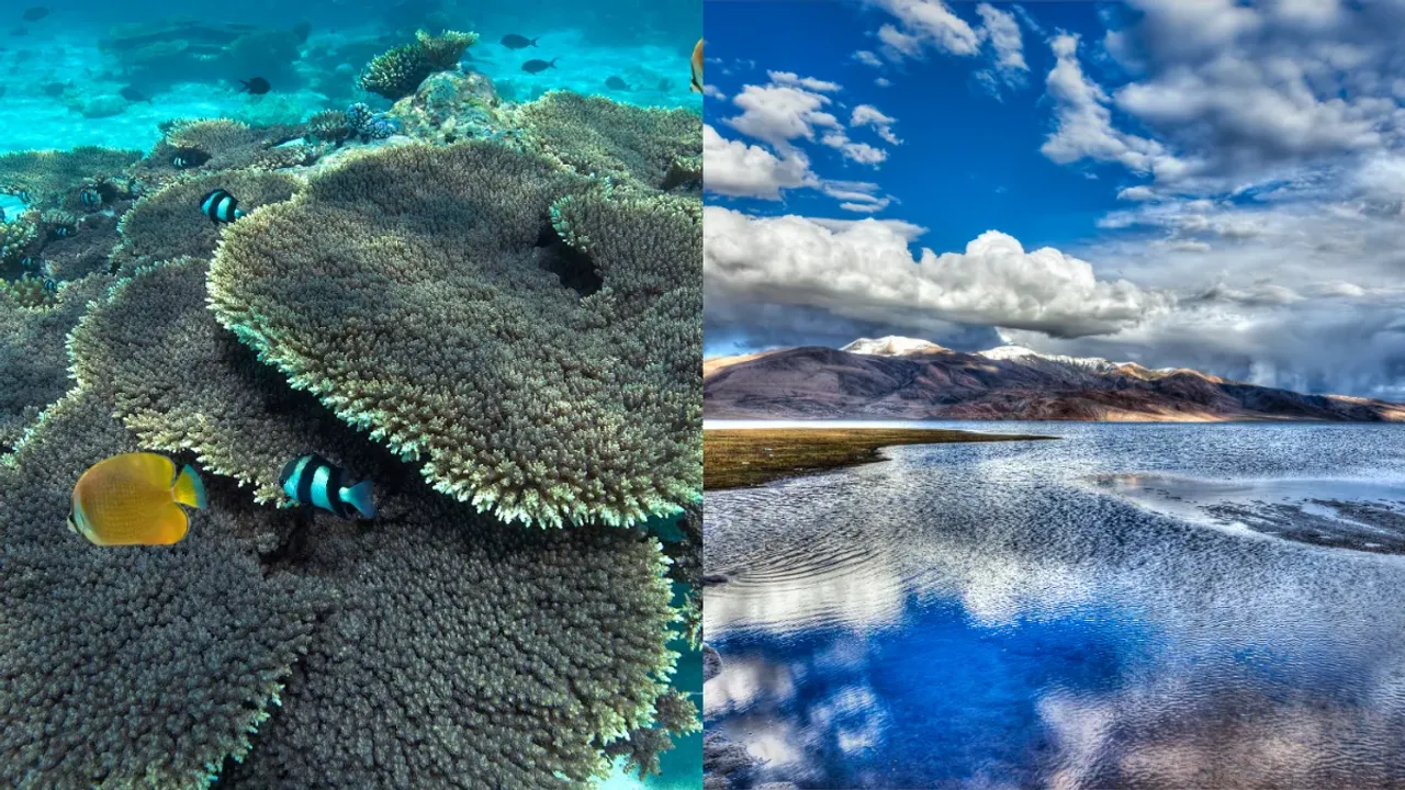 Coral Reef: సముద్ర మట్టానికి 18,000 అడుగుల ఎత్తులో పగడపు దిబ్బల శిలాజాలు.. ఎక్కడో తెలుసా?