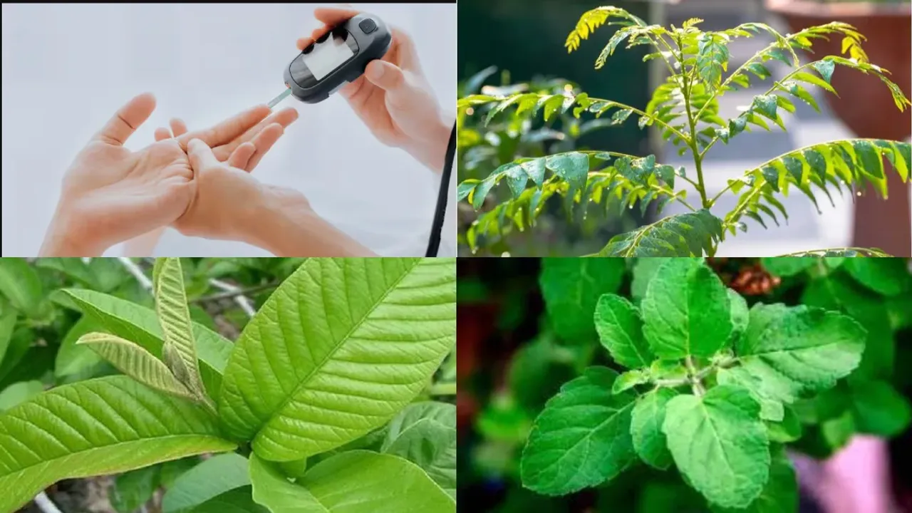 Leaves For Diabetes : ఈ ఆహారాలతో షుగర్‌కు చెక్.. అవేంటో తెలుసుకోండి