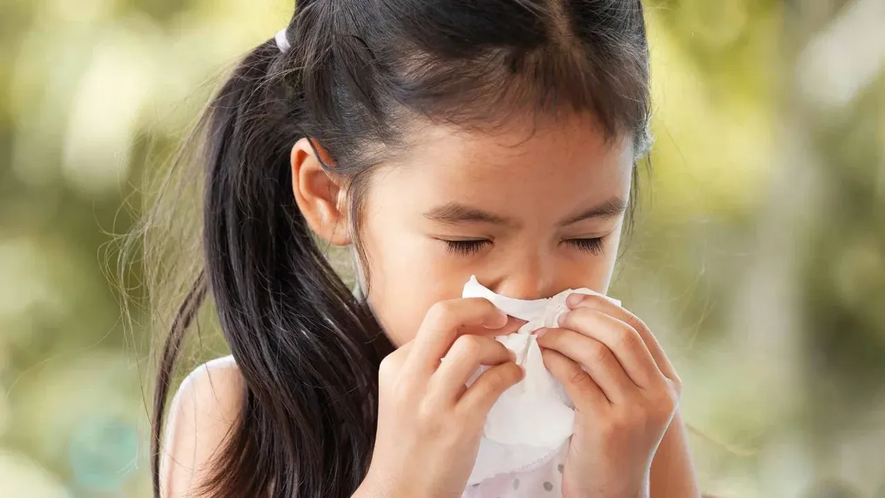 Dust Allergy: డస్ట్‌ అలర్జీతో ఇబ్బందిగా ఉందా..? ఈ సమస్యకు ఇలా చెక్‌ పెట్టండి