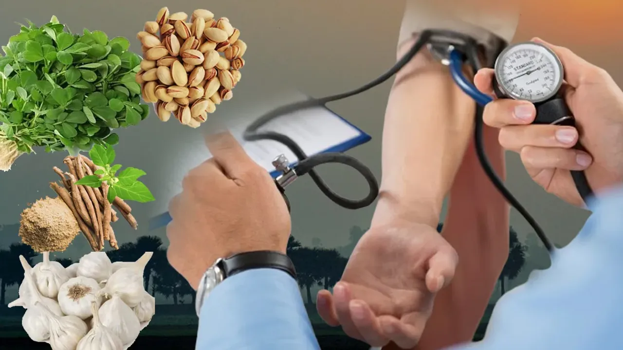 Blood Pressure Diet: ఈ ఆరోగ్య ఇబ్బంది ఉన్నవారు శీతాకాలం ఈ డైట్ ట్రై చేయండి..  
