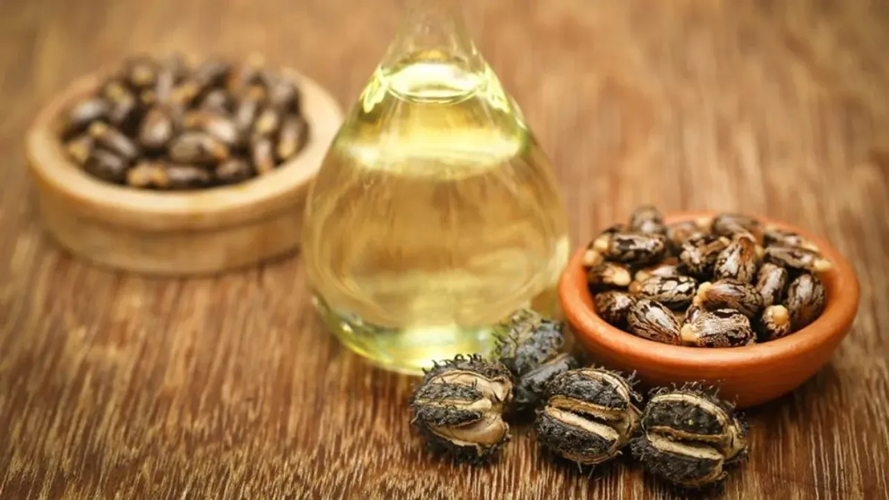 Astor Oil: ఆముదం నూనెను ఇలా వాడితే హెల్త్‌కి ఎన్నో ప్రయోజనాలని తెలుసా..?