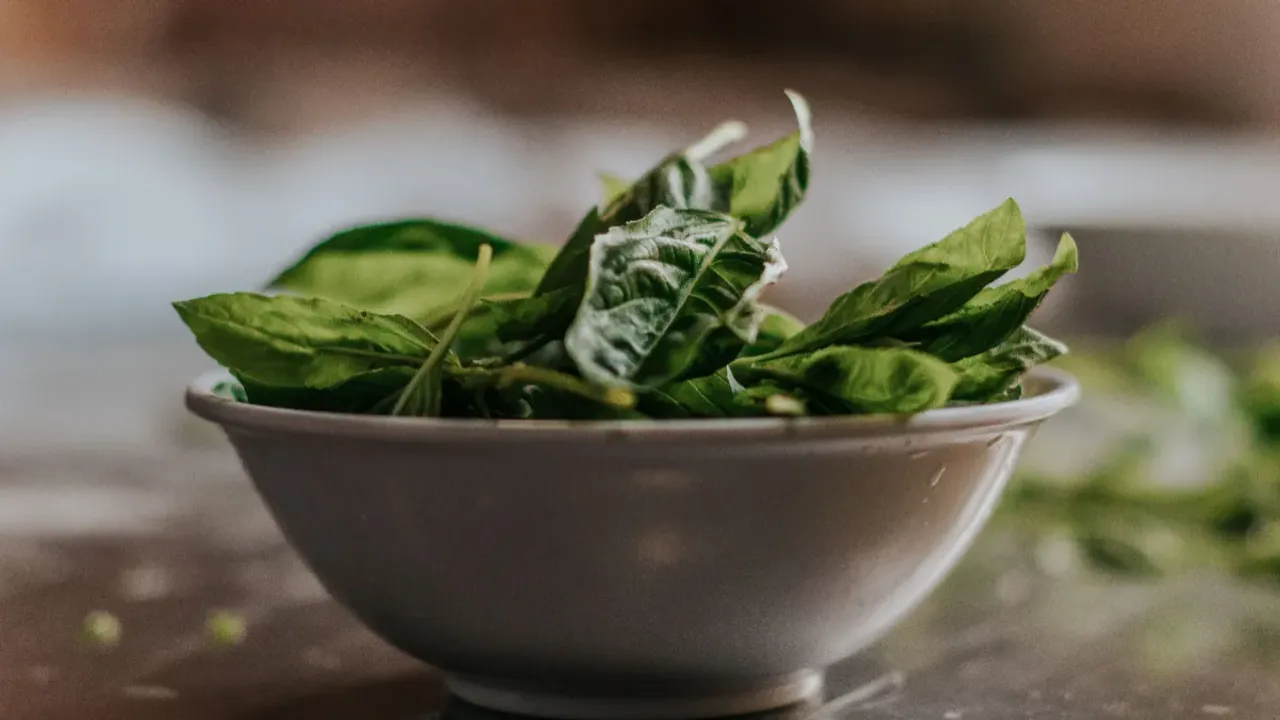 Spinach Health: పాలకూర తింటే.. ఇన్ని సమస్యలు దూరమా..!