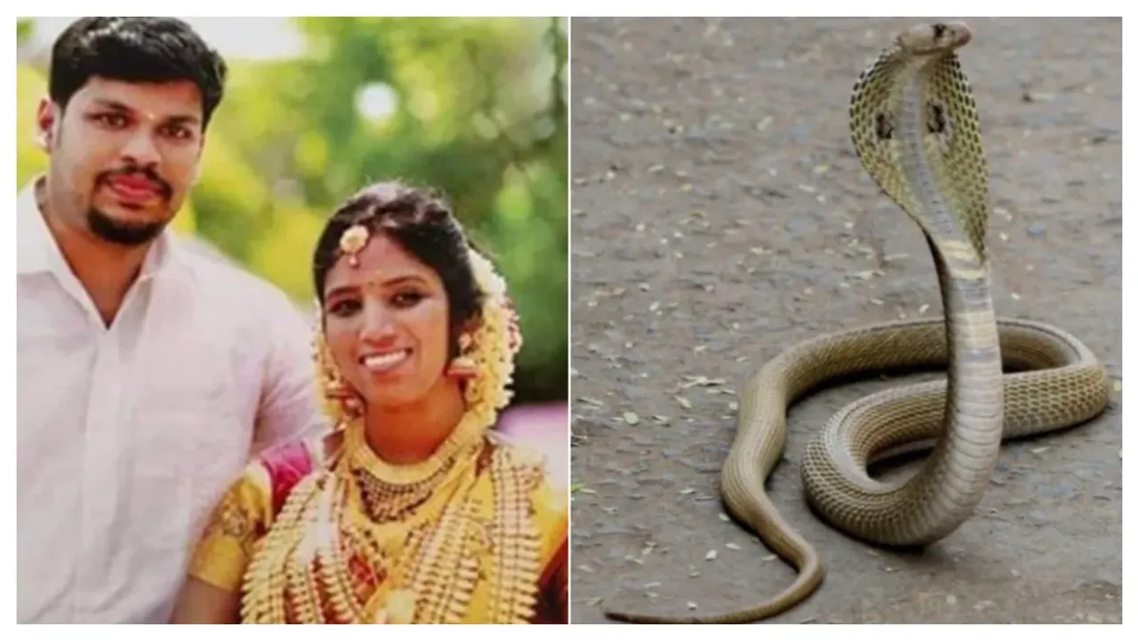 అక్రమ సంబంధం మోజులో దారుణం.. భార్య, రెండేళ్ల కూతురును పాముతో కరిపించి