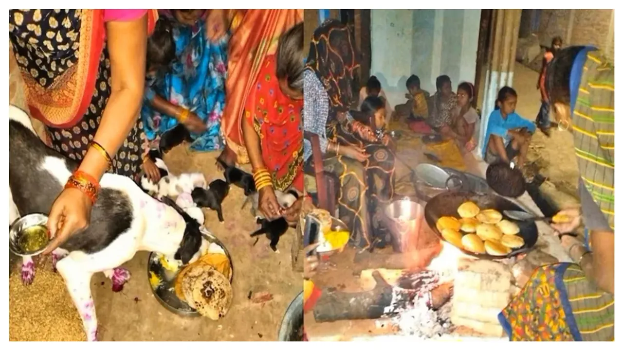కుక్కను పెంచుకుంటే కష్టాలు తొలగిపోతాయా.. డాగ్ డెలివరీ పార్టీ ఇచ్చిన రాజ్‌కాళీ చెబుతుంది నిజమేనా?