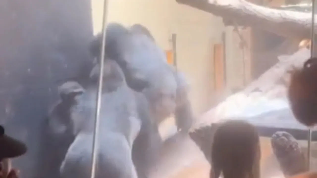 Viral Video: బాక్సర్లుగా మారిన గోరిల్లాలు..జూలో భీకర పోరు