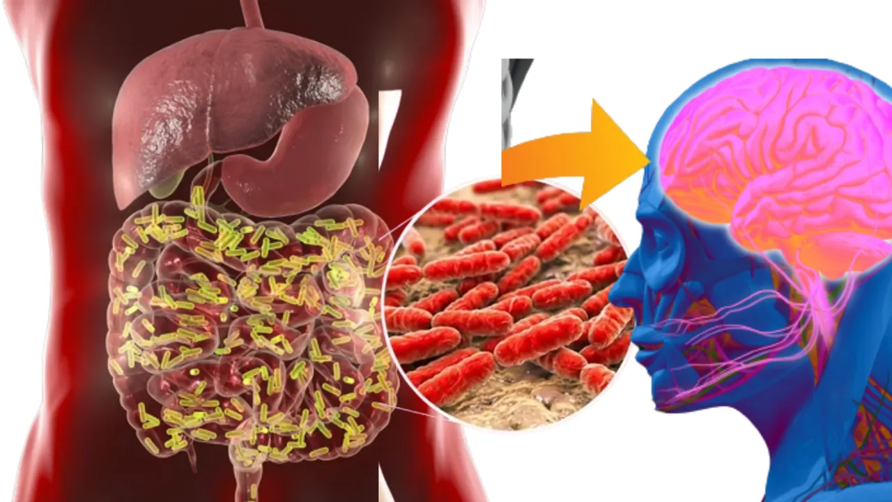 Gut Bacteria: హెల్దీ గట్ బాక్టీరియా.. మన ఆరోగ్యానికి ఇదే పెద్ద ఇండెక్స్ 
