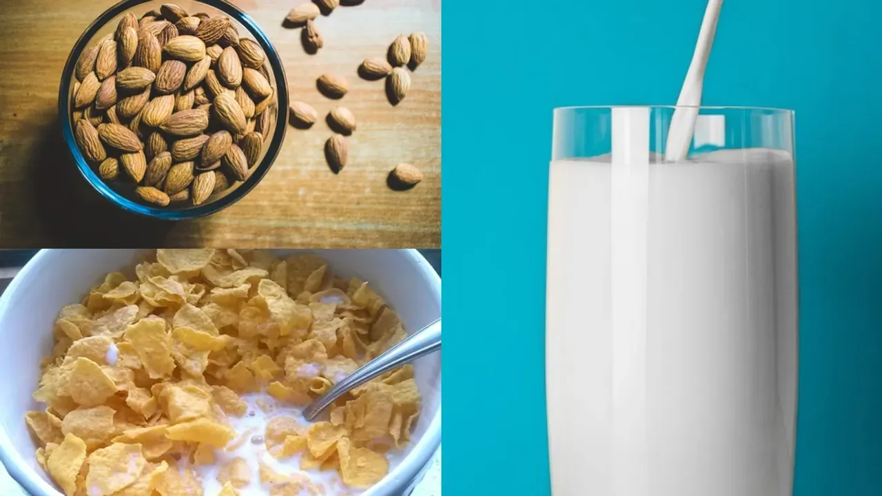Dry Fruits Milk Best: పాలలో చక్కెరకు బదులు వీటిని ఎప్పుడైనా కలిపారా..? ఒక్కసారి ట్రై చేయండి